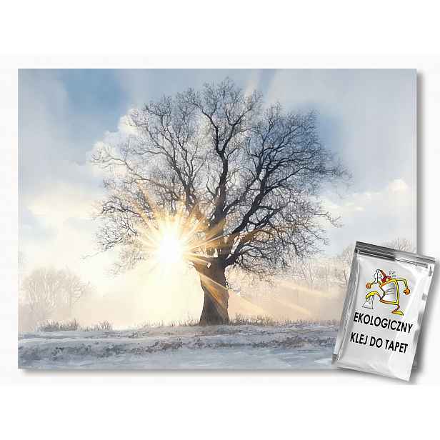 Fototapeta Flizelina Zima Dřevo Sníh Slunce Mráz Ráno 416x254 130g