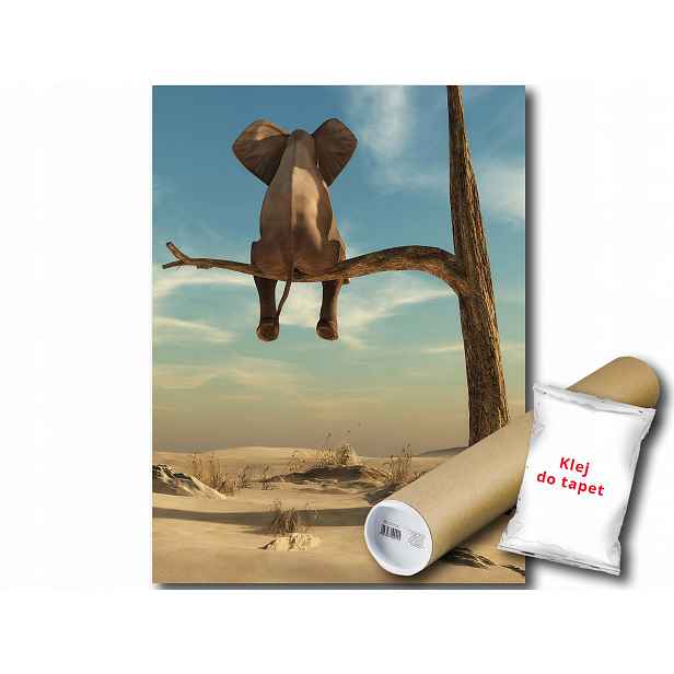 Fototapeta Slon Strom 12C Panxl 206x275 F11898
