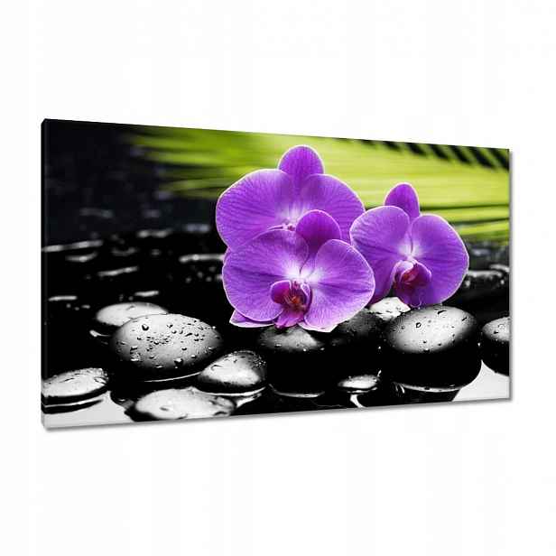 Obrazy 120x70 Fialové orchideje