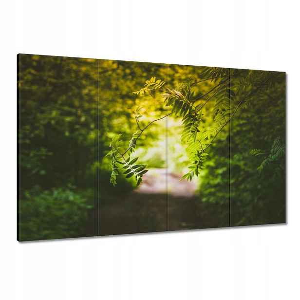 Obrazy 120x80 Zelené listy Listy