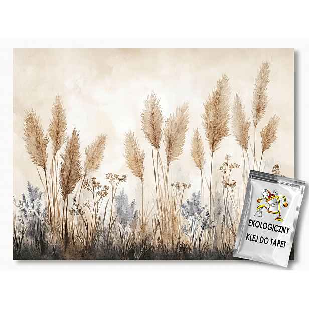 Fototapeta Flizelina Zahrada Pole Louka Trávy Hnědá Béžová Boho 416x254 130g