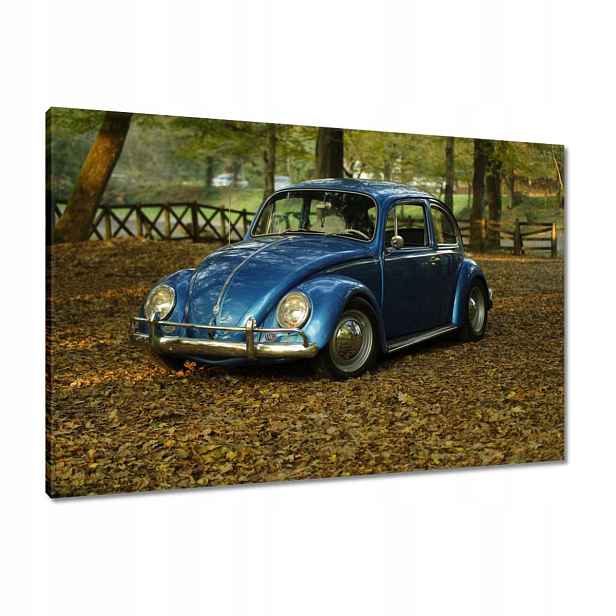 Obrazy 90x60 Garbus Vw auto]