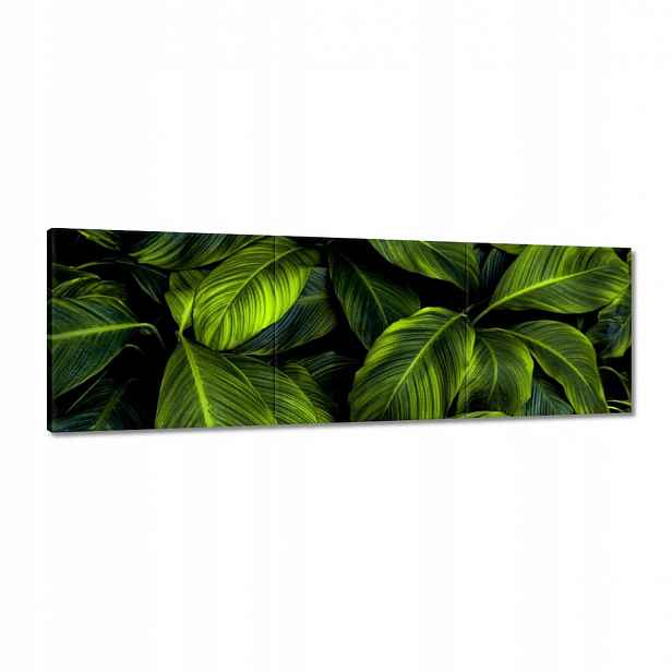 Obrazy 150x50 Krásné zelené listy