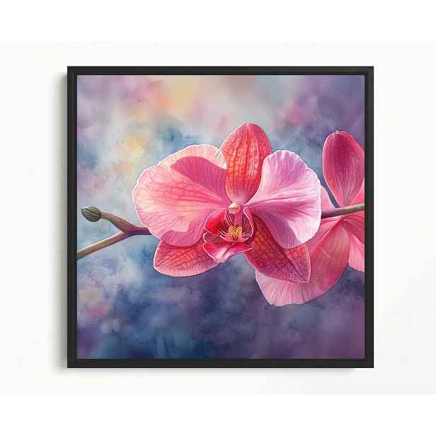 Obraz Rám Americká Krabička Grafika Orchidej Květ Růžový Orchidej 50x50