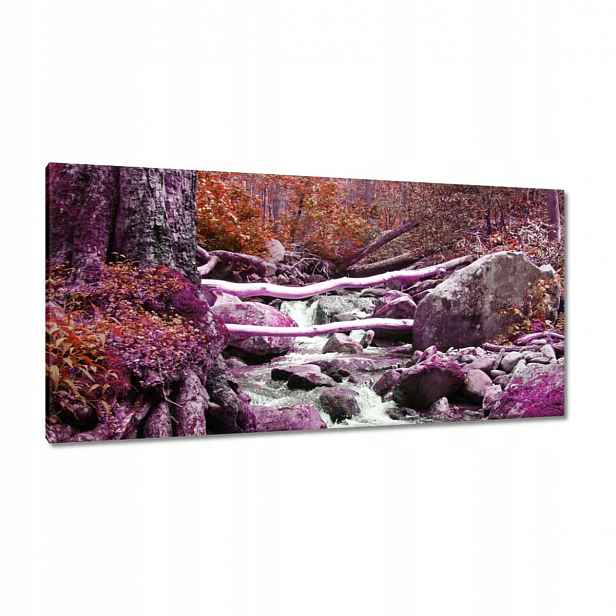 Obrazy 115x55 Fialová kaskáda