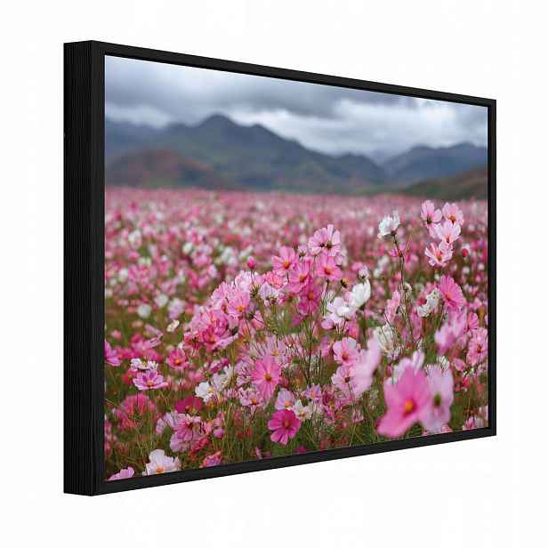 Wallarena ZARÁMOVANÉ obrazy květiny pole růžová 120x80 cm