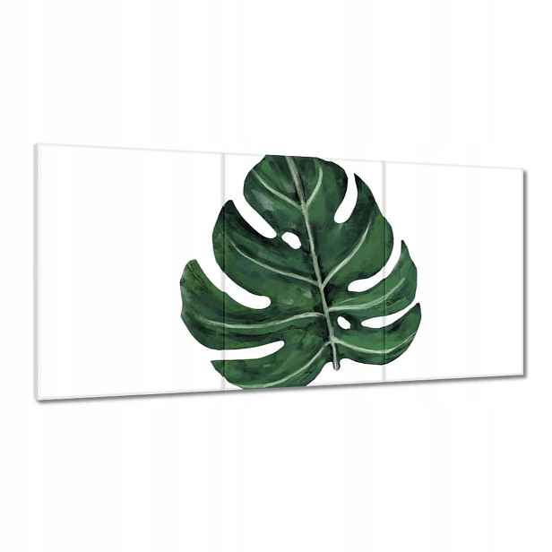 Obrazy 120x60 Monstera Zelený list