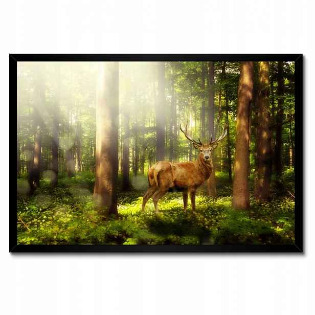 Plakáty v rámu 60x40 Jelen v kouzelném lese