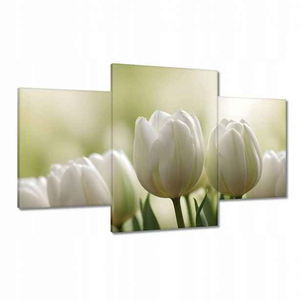 Obrazy 100x60 Bílé tulipány