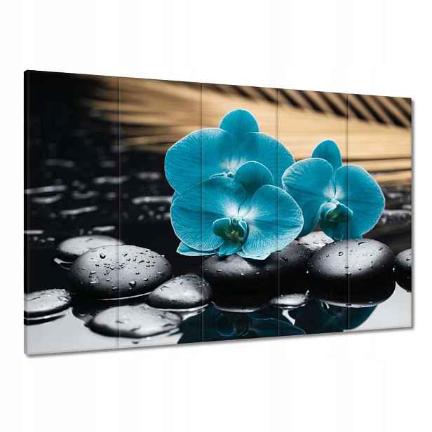 Obrazy 100x70 Tyrkysový orchidej Květina
