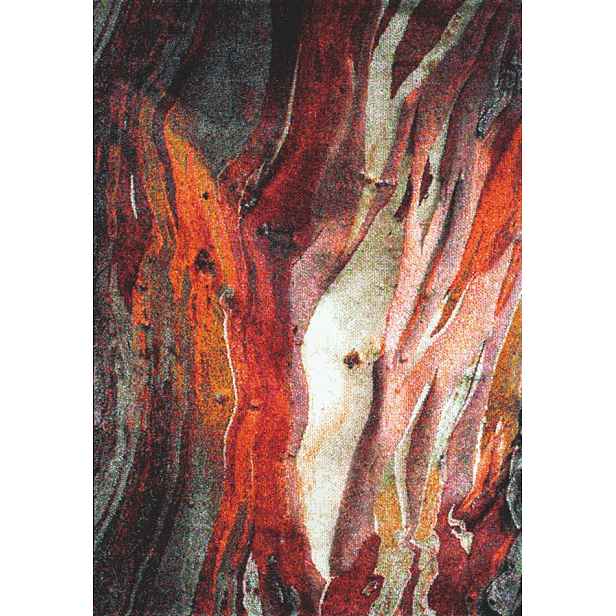 AKCE: 160x230 cm Kusový koberec Rust red 21304-910, vícebarevná, obývací pokoj, Spoltex