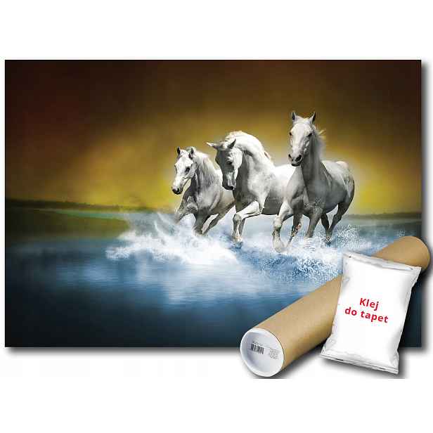 Fototapeta Koně Galop 12B V4 254x184 F425