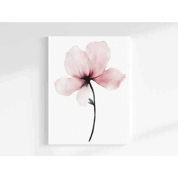 Obraz Na Plátně Canvas Akvarel Příroda Zahrada Květ Růžová Magnolie 60x80