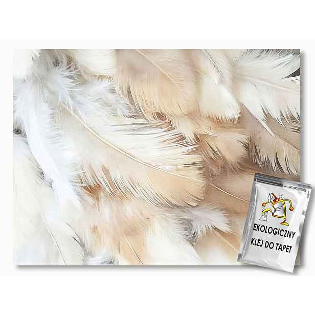 Fototapeta Flizelina Dekorace Peří Bílá Béžová Boho 254x184 130g