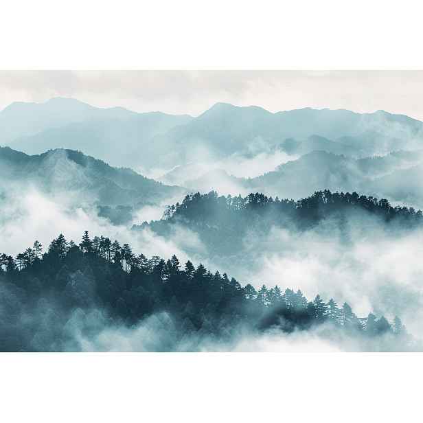 Vliesová fototapeta Krajina Hory Les Stromy Mlha Šedá 416x254 130g