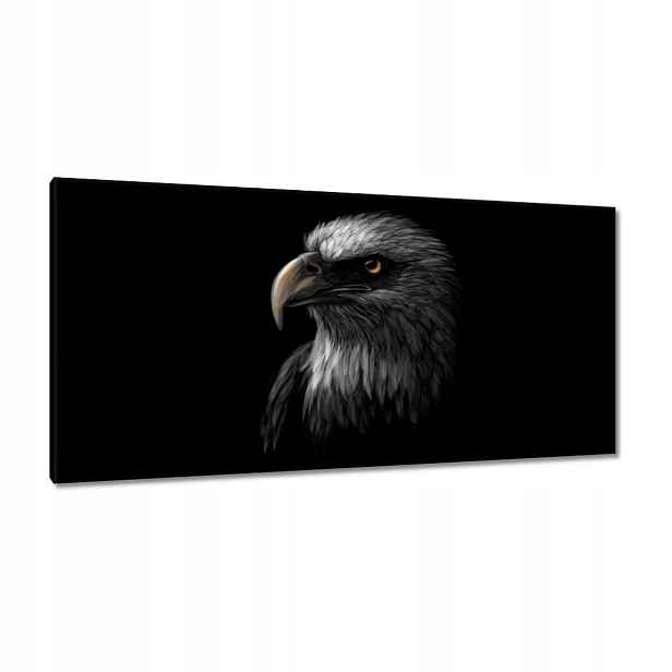 Obrazy 115x55 Orel Bílý pták orli