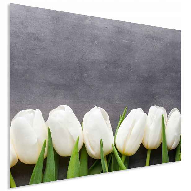 Skleněný panel do kuchyně s grafikou tulipány 60x50 cm