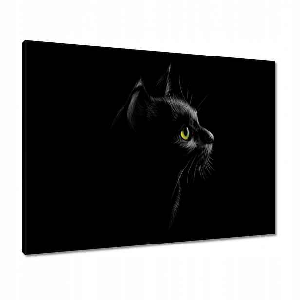Obrazy 80x60 Černá kočička