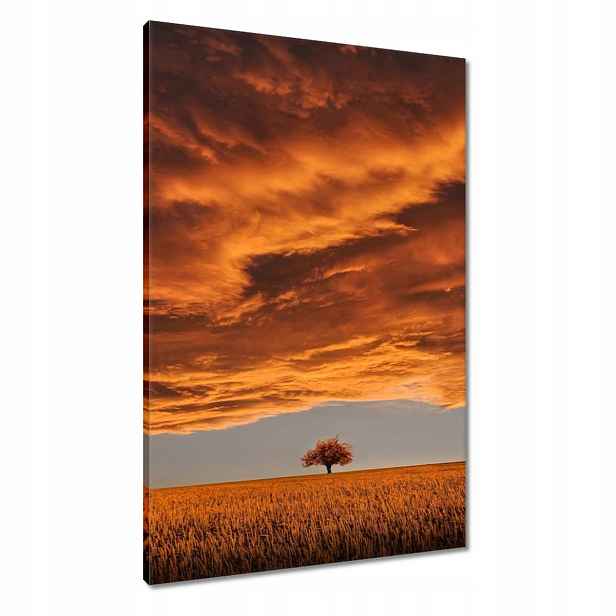 Obrazy 60x90 Oranžové nebe