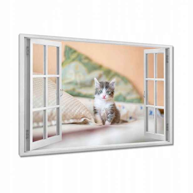 Obrazy 120x80 Kočka Kotě Kočky Kočka