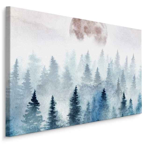Plátno Měsíc Nad Zamlženými Stromy Varianta: 120x80