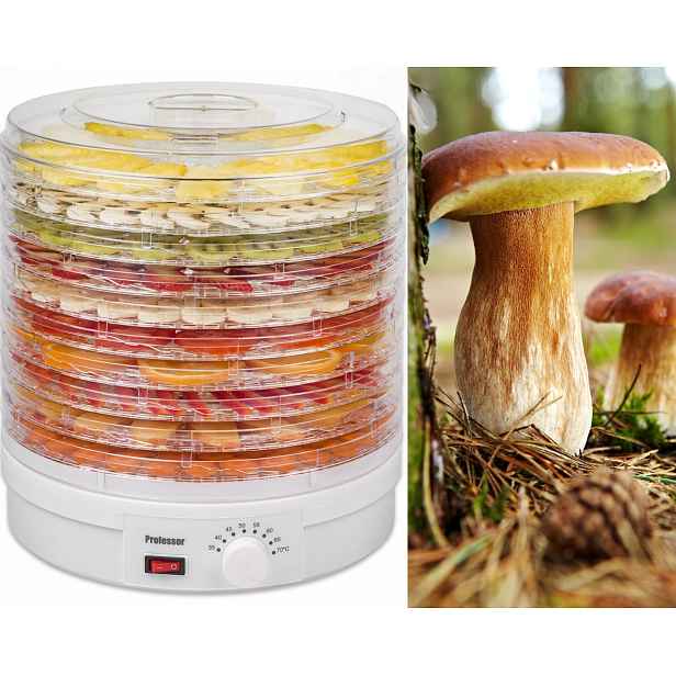 Sušička na ovoce a houby Professor SP4410 – 10 plat, nastavitelná teplota, 245 W 2268/1