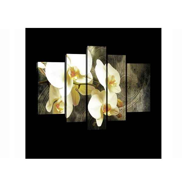 Obraz 170x100 Bílé orchideje květiny příroda elegance klid polyptych