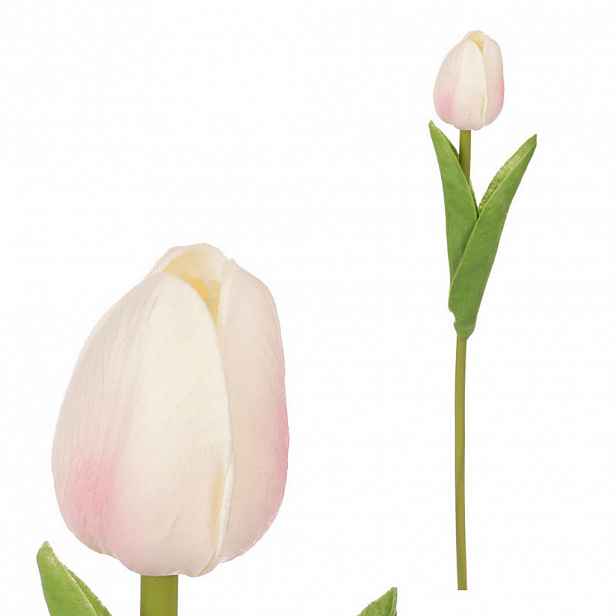 TULIPÁN 35 cm