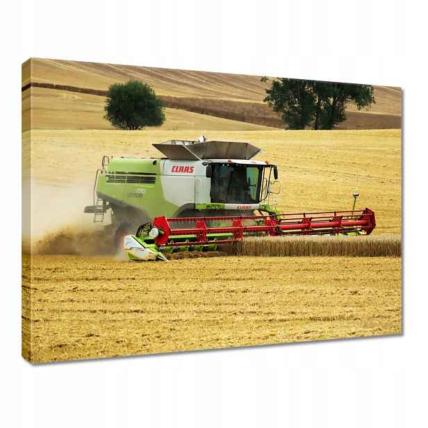 Obraz 80x60 Kombajn Žněva