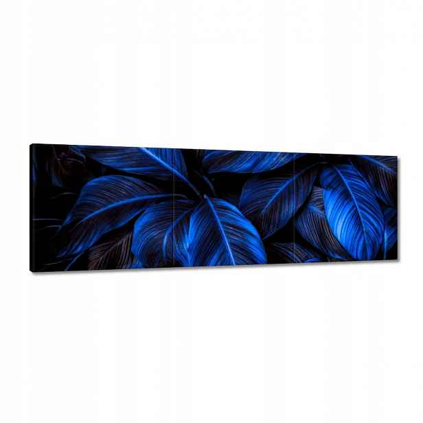 Obrazy 150x50 Modré listy