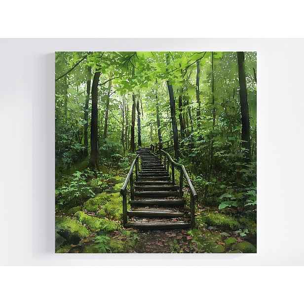Obraz Na Plátně Canvas Krajina Kopec Les Stromy Schody Stezka 50x50