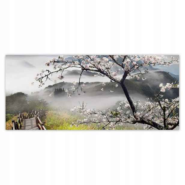 Fototapety 211x91 Japonsko Kvetoucí višeň