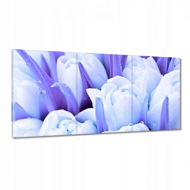Obrazy 120x60 Modré tulipány