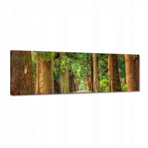 Obrazy 120x40 Cesta v parku Stromy