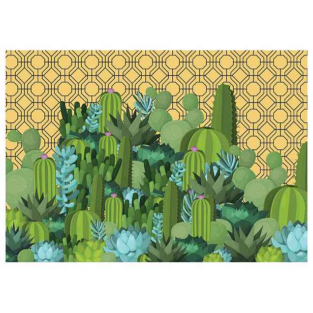 Fototapeta Botanické kaktusy a sukulenty Vzor 208x146 zelené pozadí lepidlo