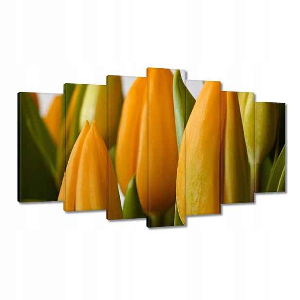 Obrazy 140x80 Žluté tulipány