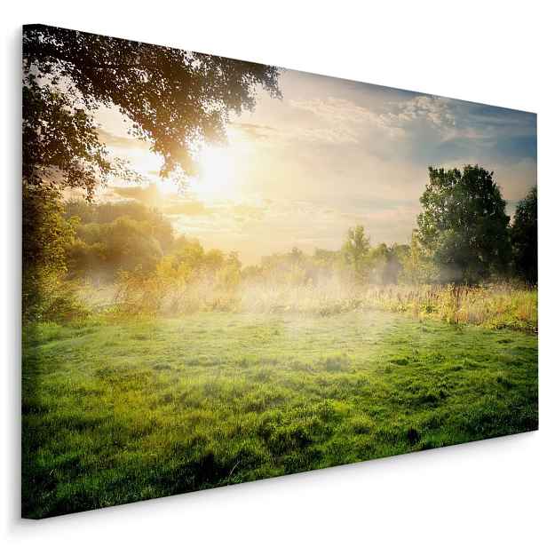Plátno Ráno Lesní Mýtina Varianta: 40x30