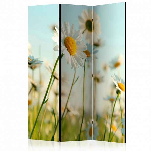 artgeist PARAVÁN, 135/172/3 cm