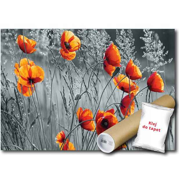 Vliesová fototapeta květy máky louka 416x254