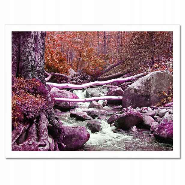 Plakáty v rámu 40x30 Fialová kaskáda