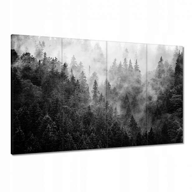 Obrazy 120x80 Krajina Šedá Hory Mlha