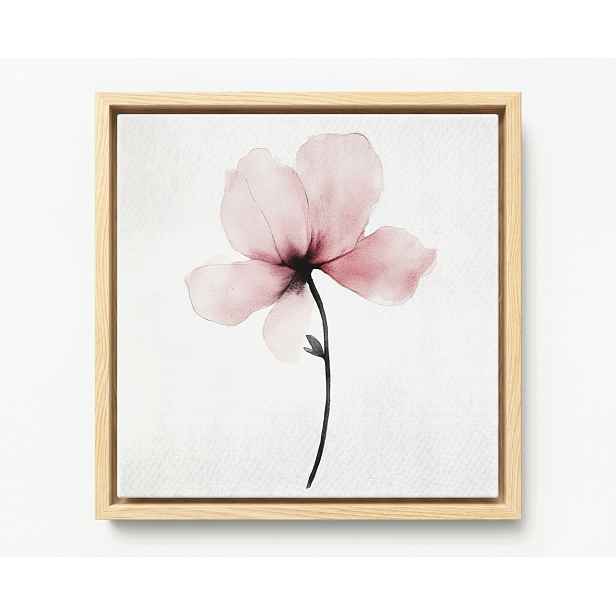 Obraz Rám Americký Box Akvarel Příroda Zahrada Květ Růžová Magnolie 50x50