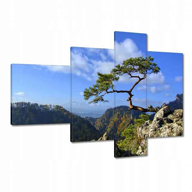 Obrazy 100x70 Krajina Pohledy Krajina