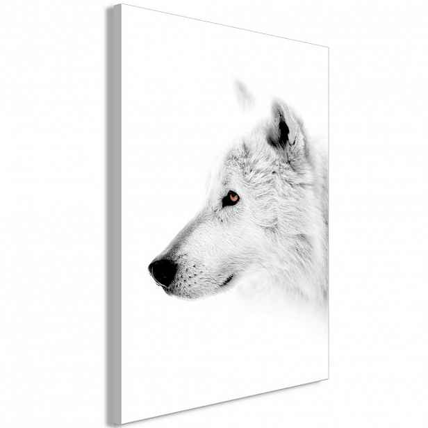 artgeist MALBA NA PLÁTNĚ, zvířata, 40/60/1,2 cm