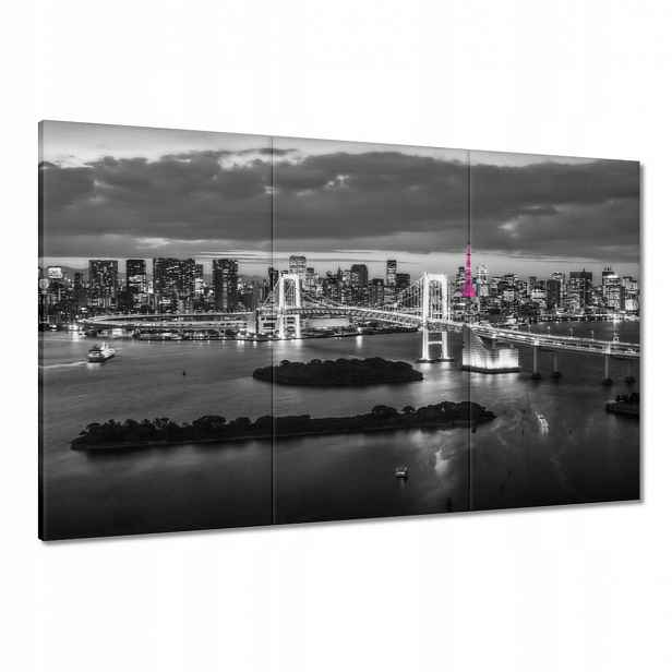Obrazy 120x80 Růžová Eiffelova věž Most