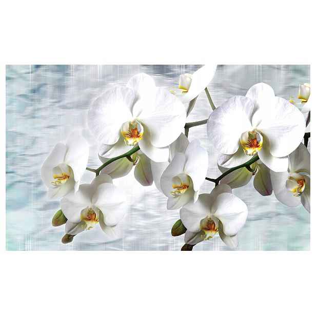 Vliesová fototapeta Bílé orchideje, elegance a harmonie 200x140 lepidlo