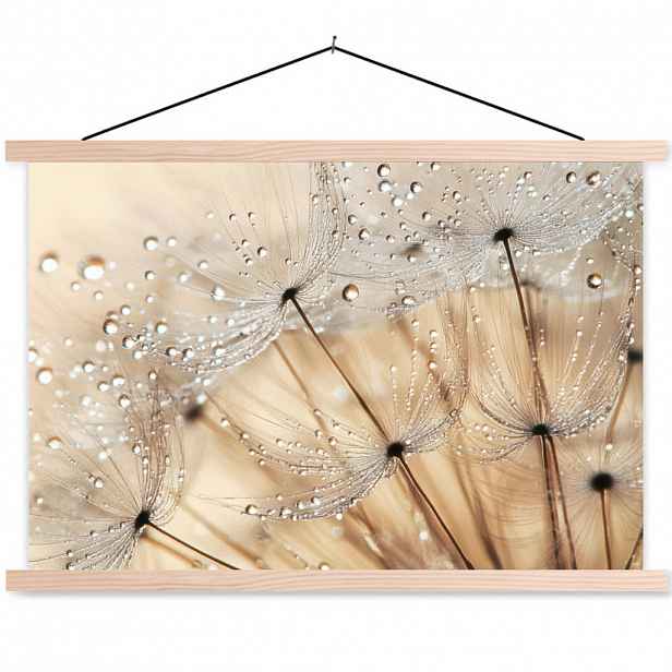 MuchoWow PLAKÁT S MAGNETICKOU LIŠTOU Pampeliška - Abstraktní - Příroda - Béžová 60x40 cm