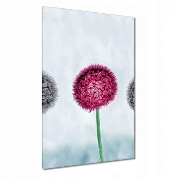Obrazy 80x120 Šedé s fialovou