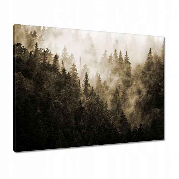 Obrazy 80x60 Krajina Sépie Hory Mlha