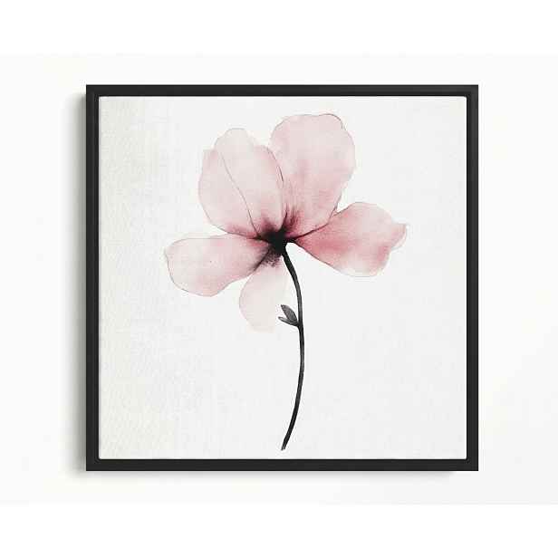 Obraz Rám Americký Box Akvarel Příroda Zahrada Květ Růžová Magnolie 50x50